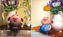 猪小屁短视频,趣味横生的日常生活记录